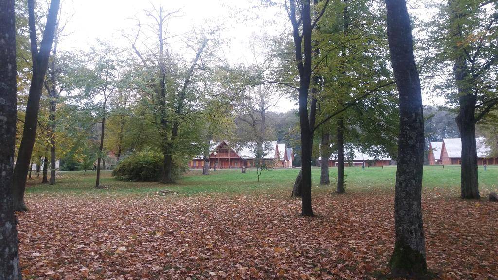비아와포들라스카 Roskosz Zespol Dworsko Parkowy B&B 외부 사진